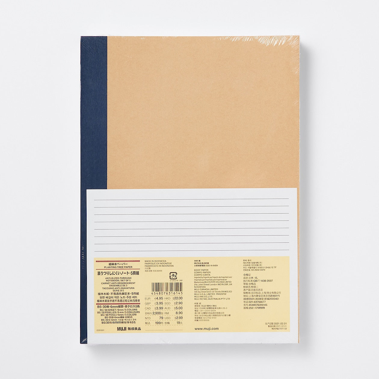 Notebooks - 5 pack, Lined Paper B5