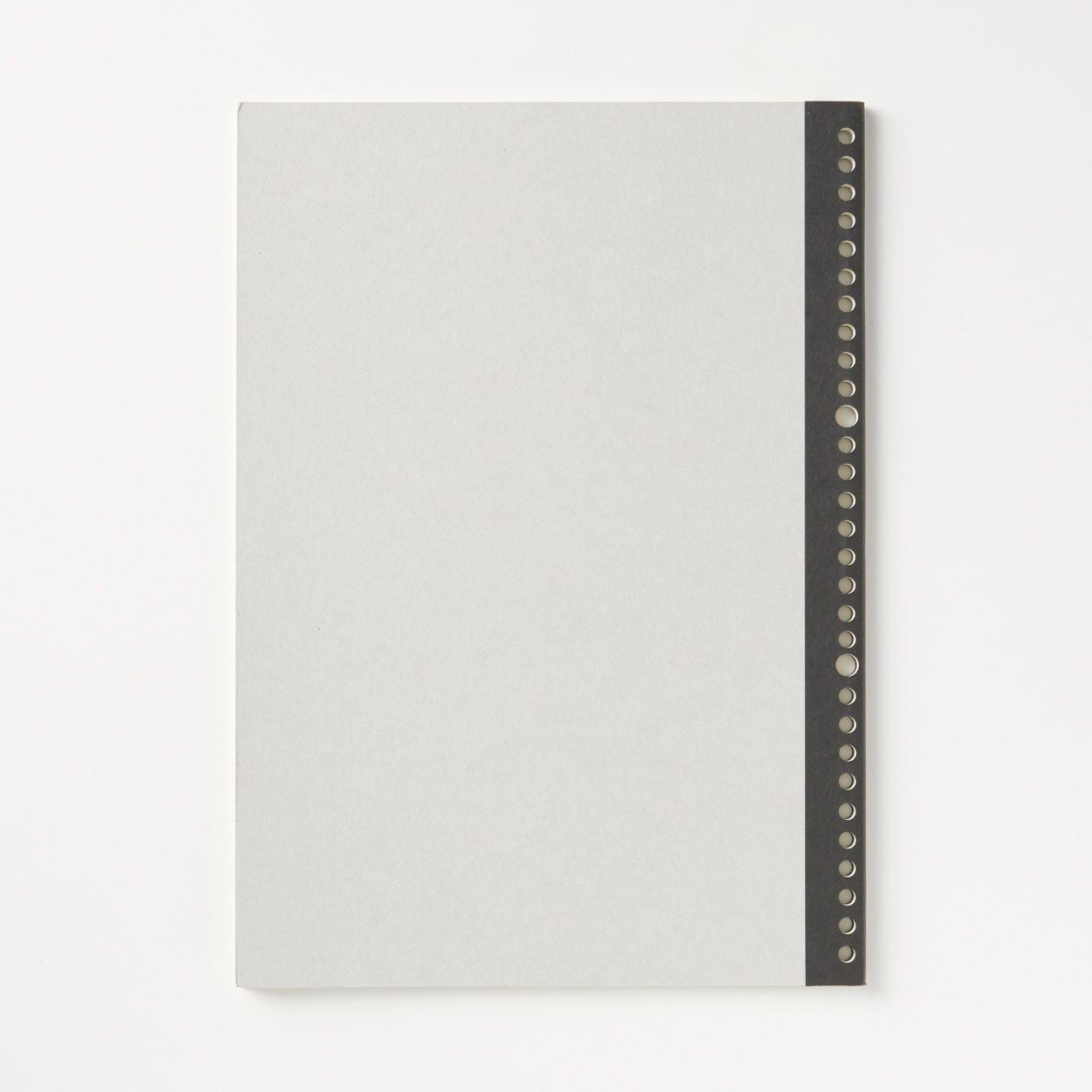 Notebook Type Loose Leaf Paper - Ruled