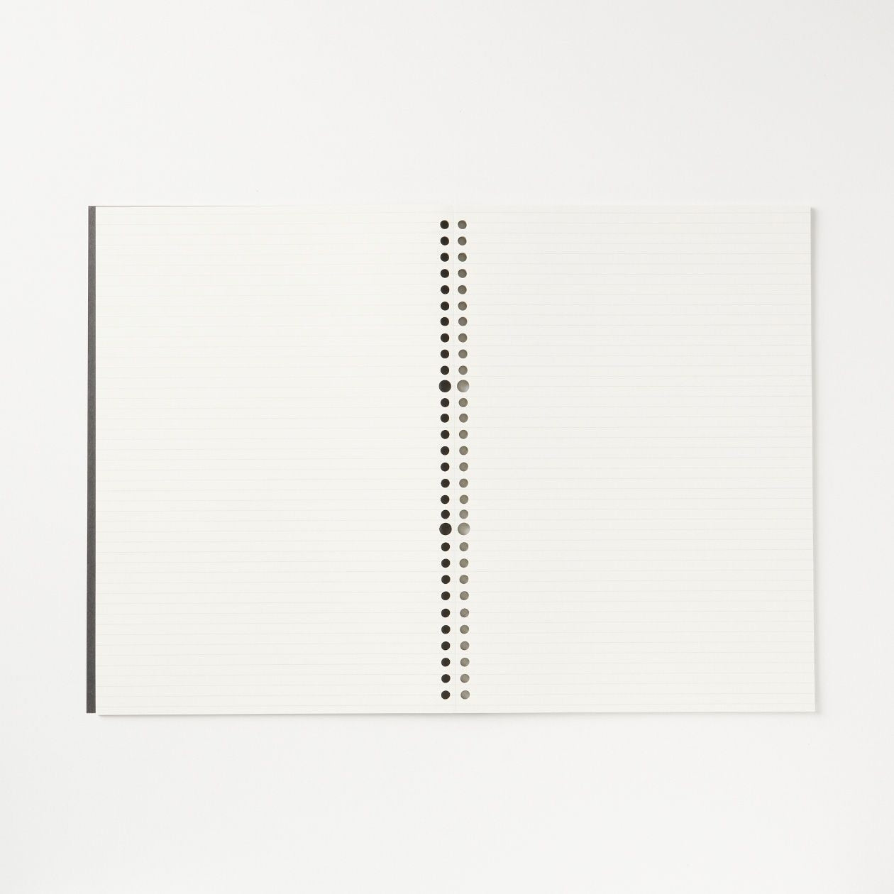 Notebook Type Loose Leaf Paper - Ruled