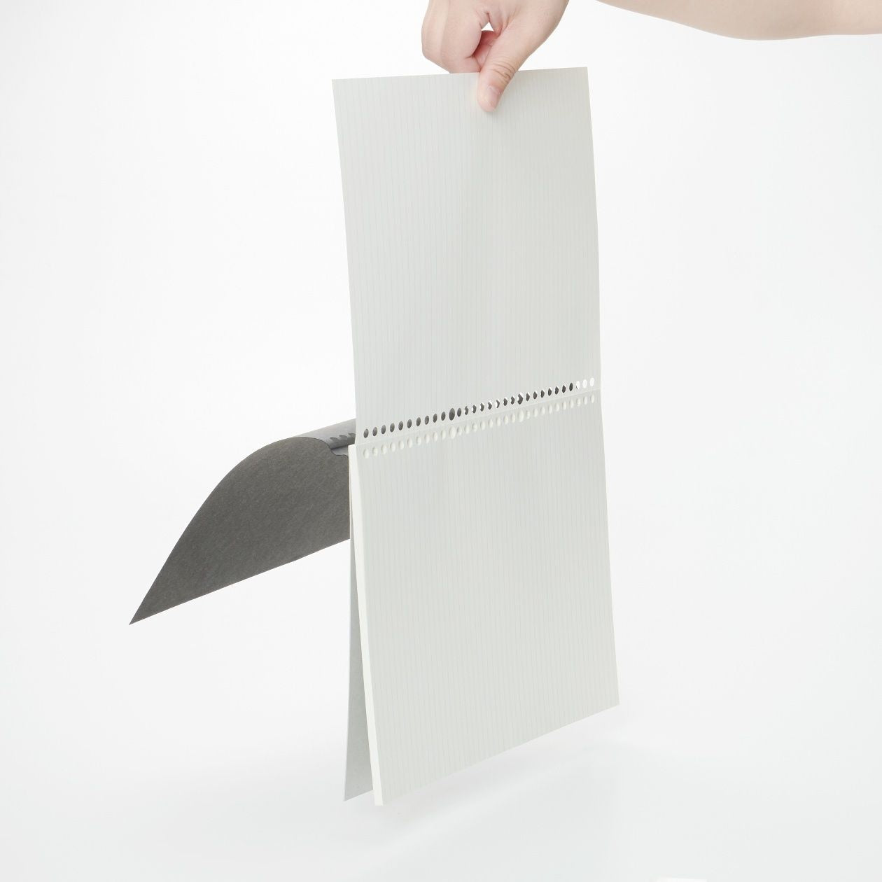 Notebook Type Loose Leaf Paper - Ruled