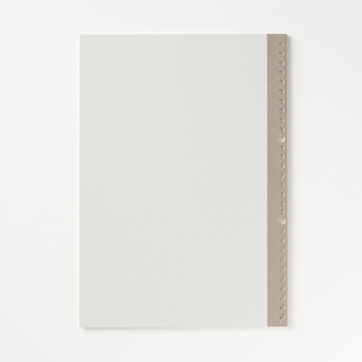 Notebook Type Loose Leaf Paper - Graph