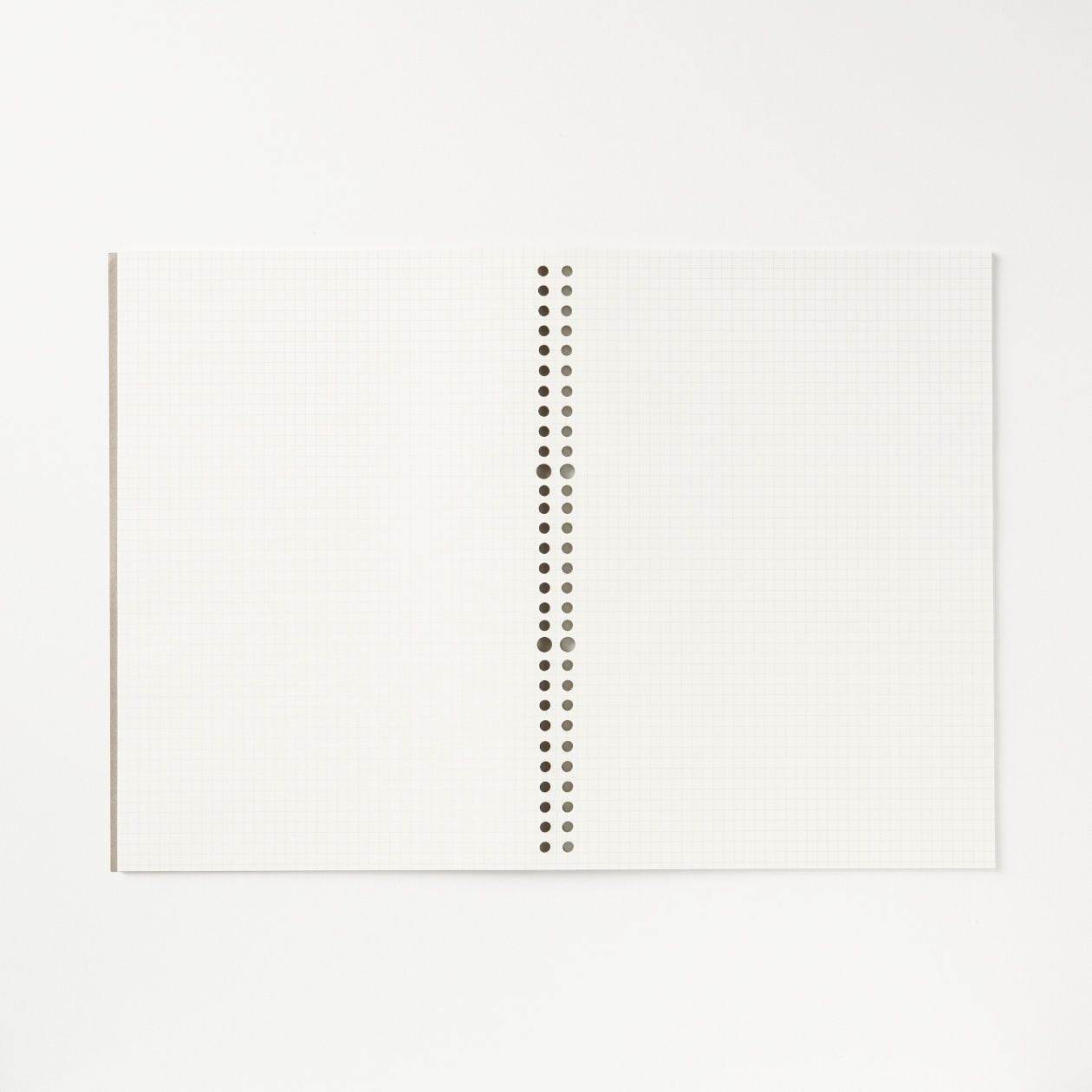 Notebook Type Loose Leaf Paper - Graph