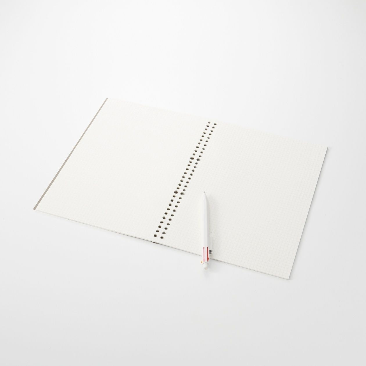 Notebook Type Loose Leaf Paper - Graph