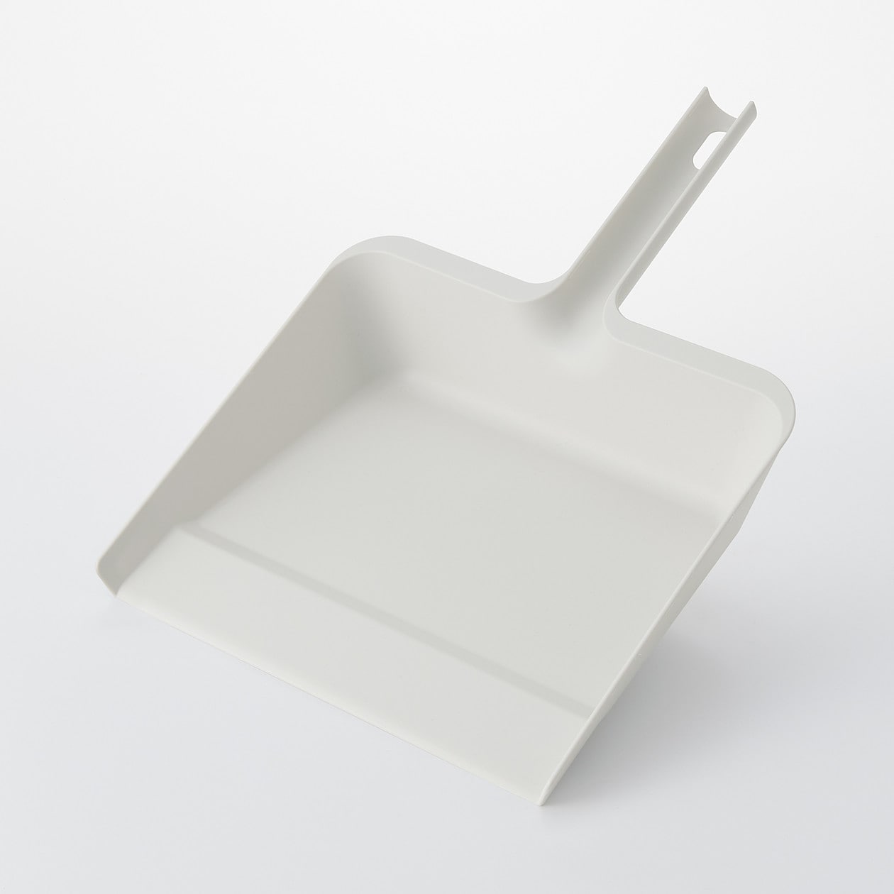 Cleaning System - Dustpan