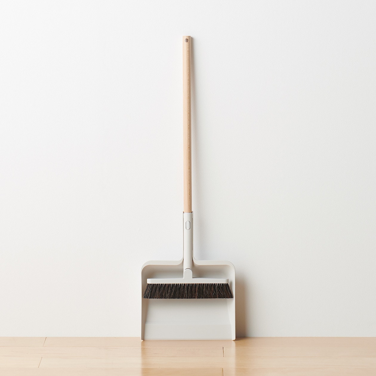 Cleaning System - Dustpan