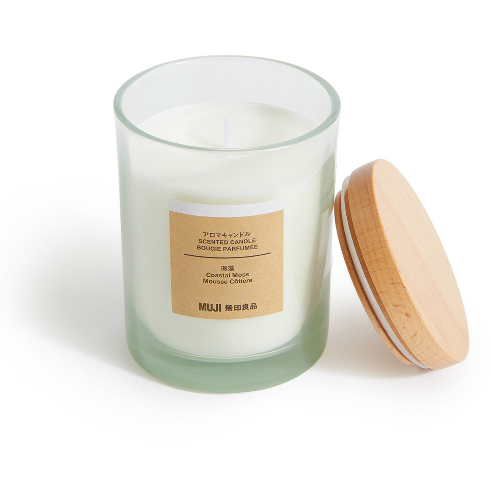 Coastal Moss 1 Wick Candle