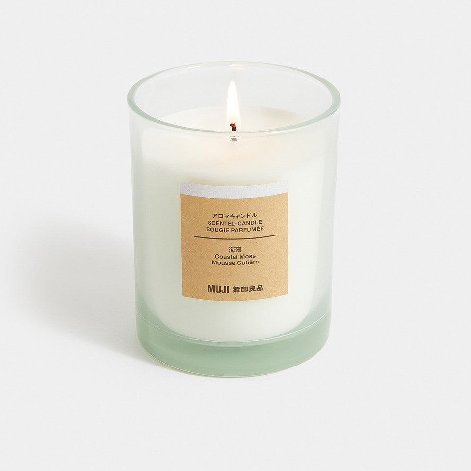 Coastal Moss 1 Wick Candle