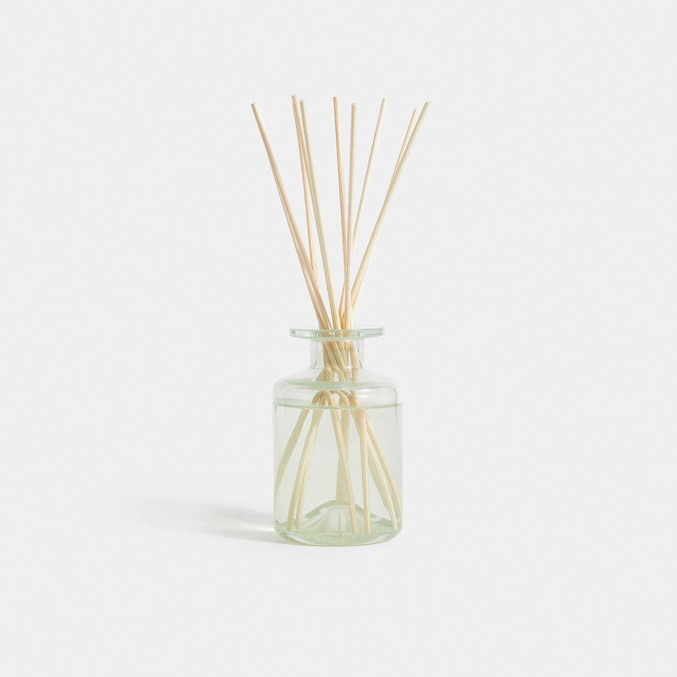 Coastal Moss Reed Diffuser 175ml
